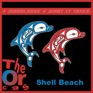 Shell Beach